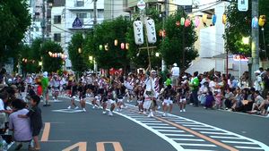 新座阿波踊り（新座市）